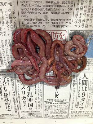 BlogPaint