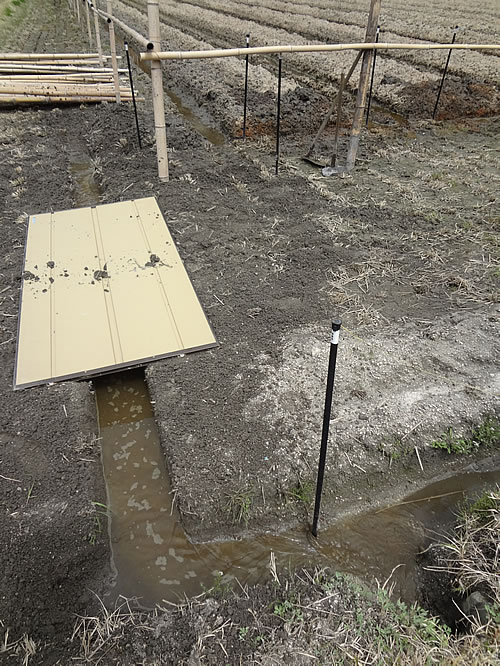 溝切り管理機と歩行型耕うん機 : 愛知の田舎で古民家暮らし