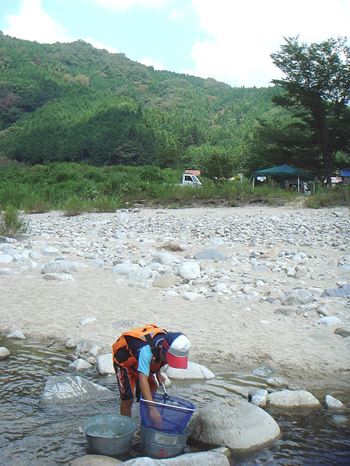 たまには子供と夏休み気分で川遊び 愛知の田舎で古民家暮らし