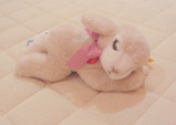 f1d1a590.jpg