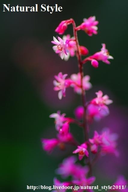 052101