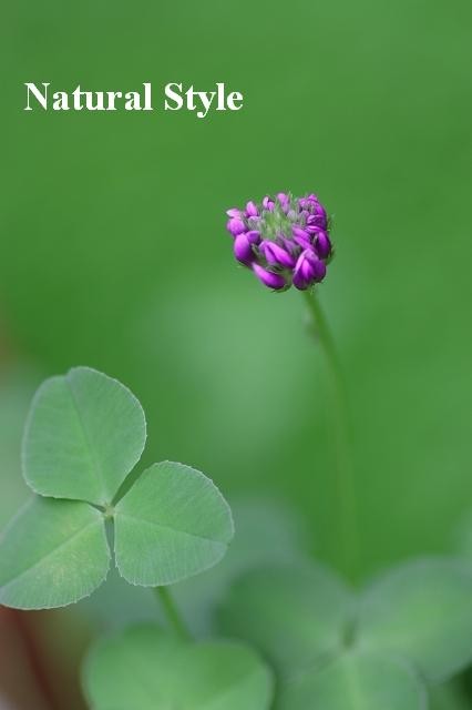 2011062830