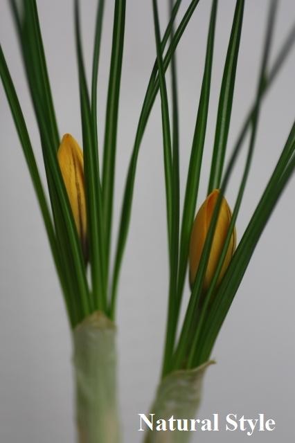 2011032402