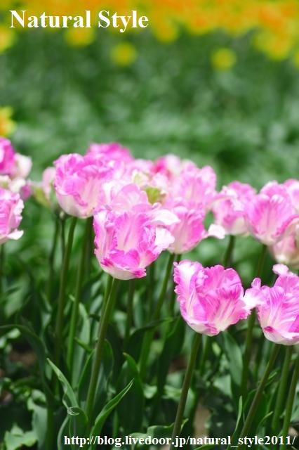 050406