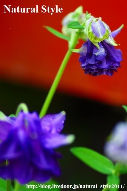 052207