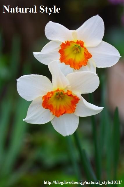 2011042701
