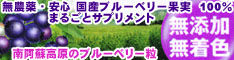 南阿蘇高原ブルーベリー粒