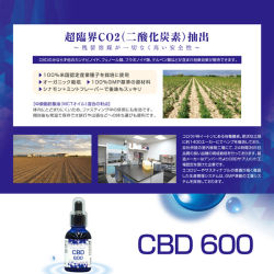 CBDオイル