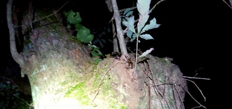IMG_20170719_210259