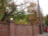 13fc8b29.JPG