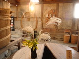 456a1118.JPG