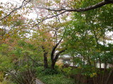 80e285d7.JPG