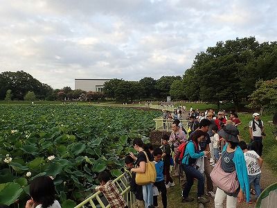 早朝の植物園観察