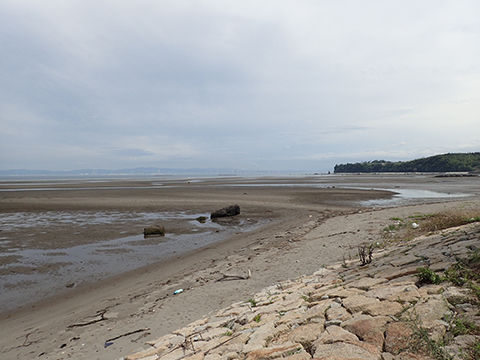 糸ヶ浜