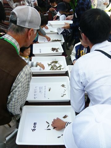 akifes2018_005