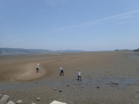 八坂川河口