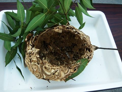 akifes2018_004