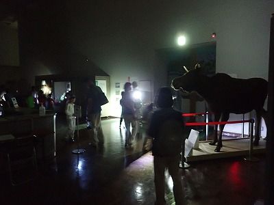 夜の展示室