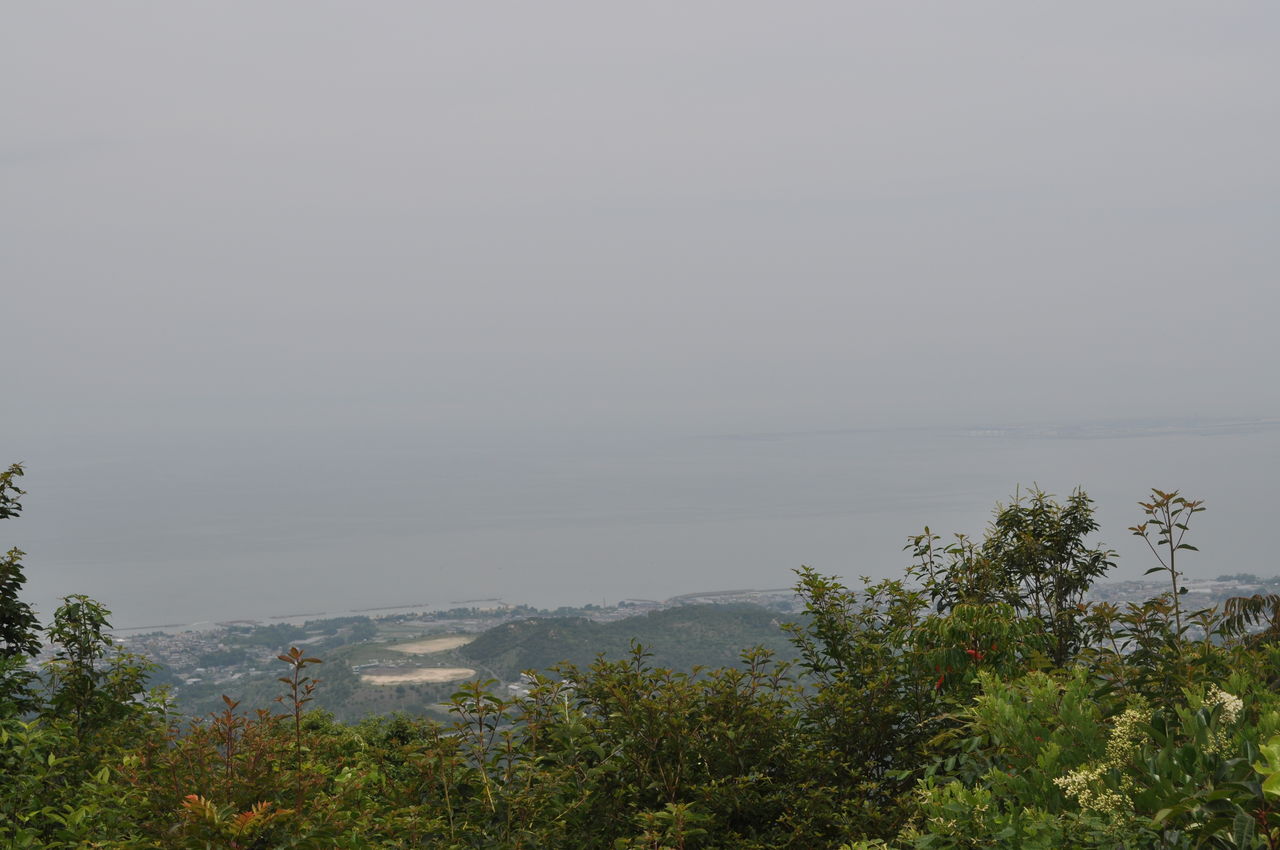 DSC_0194_1