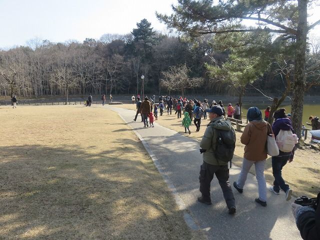 荒池を歩く
