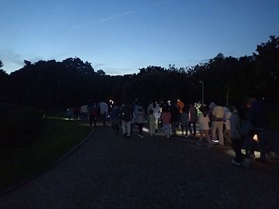 夜の植物園