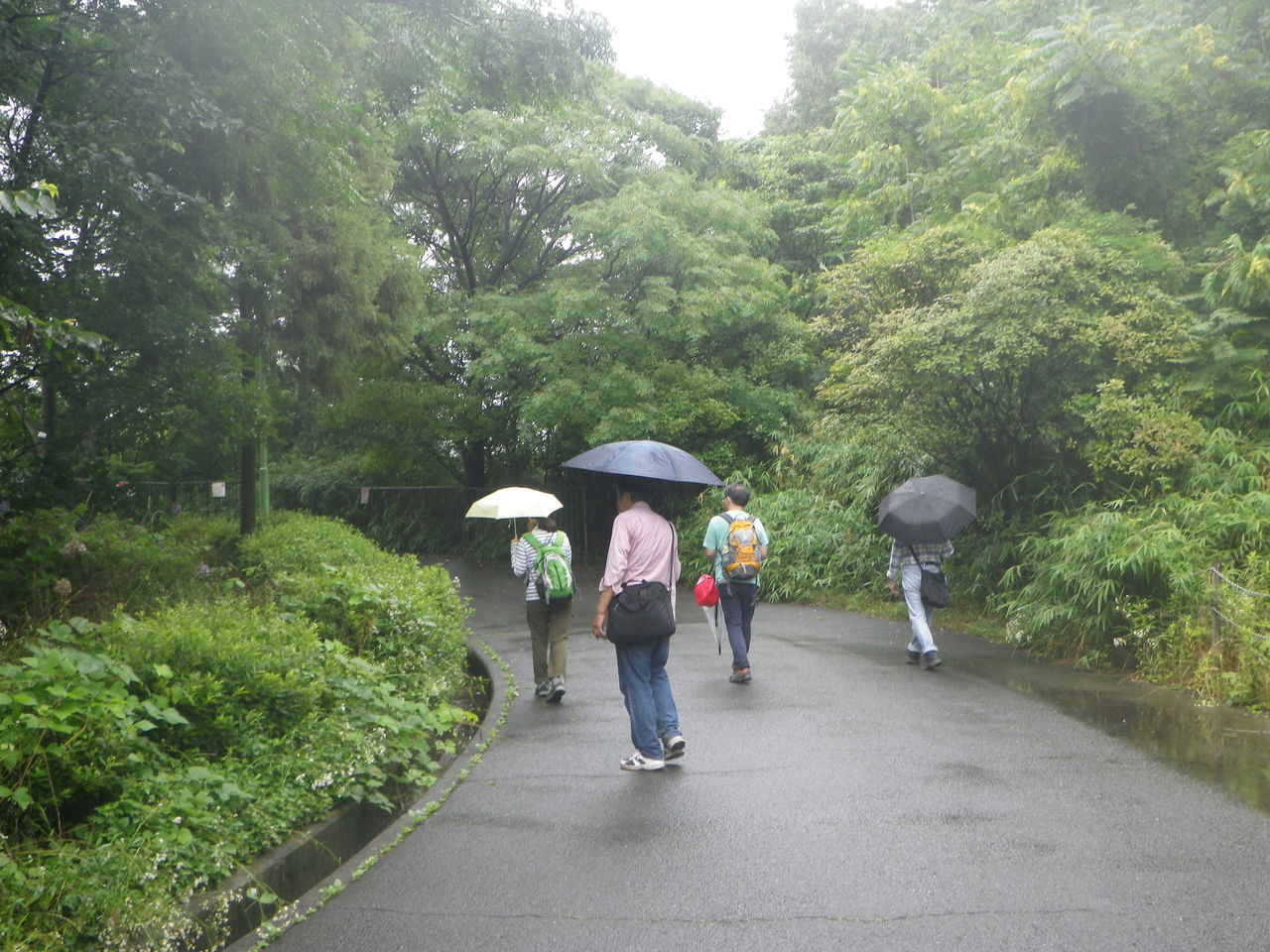 IMGP9887今日の参加者