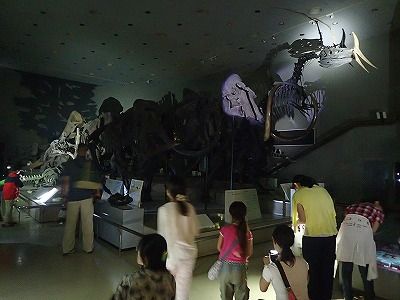 夜の展示室