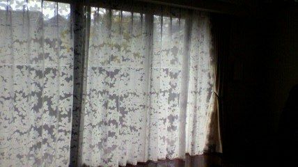 2012020511300000