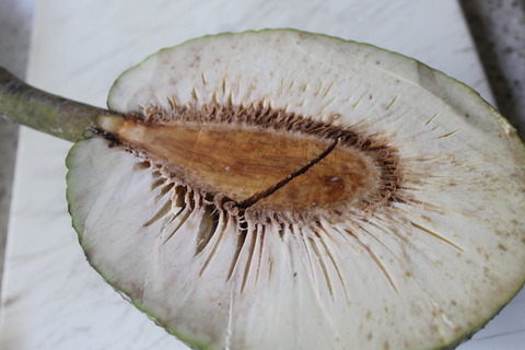 20190207-1