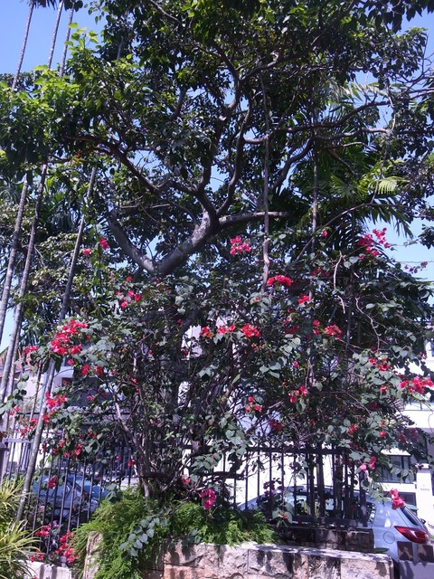 R0025283-180326