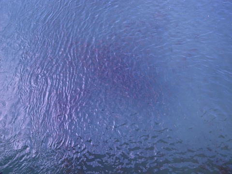 20180120-23
