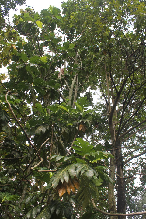 20190207-10