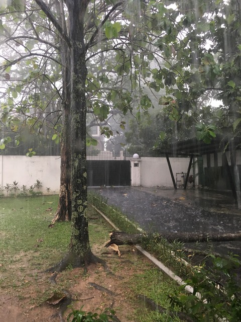 201905101