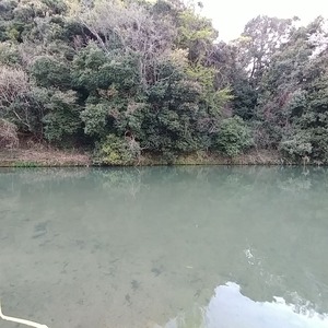 IMG00035