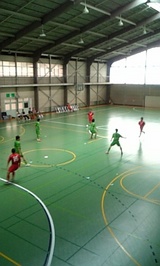 509d24b2.jpg