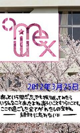 80f8b37a.jpg