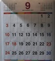 DSCF4491
