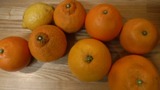 DSCF6139