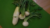 DSCF6106