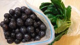 DSCF6144