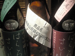 NEC_0498