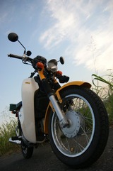 DSC06147_319x480