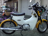 9753537d.jpg
