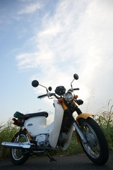 DSC06141_319x480