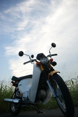 DSC06129_319x480