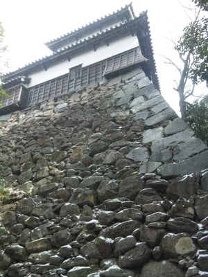 0f40a9d7.jpg
