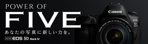 key-visual