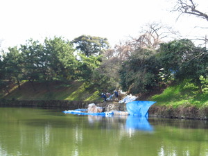 8c72e55f.jpg