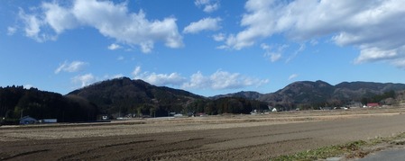 P1050199 (2)