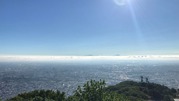 IMG_8571
